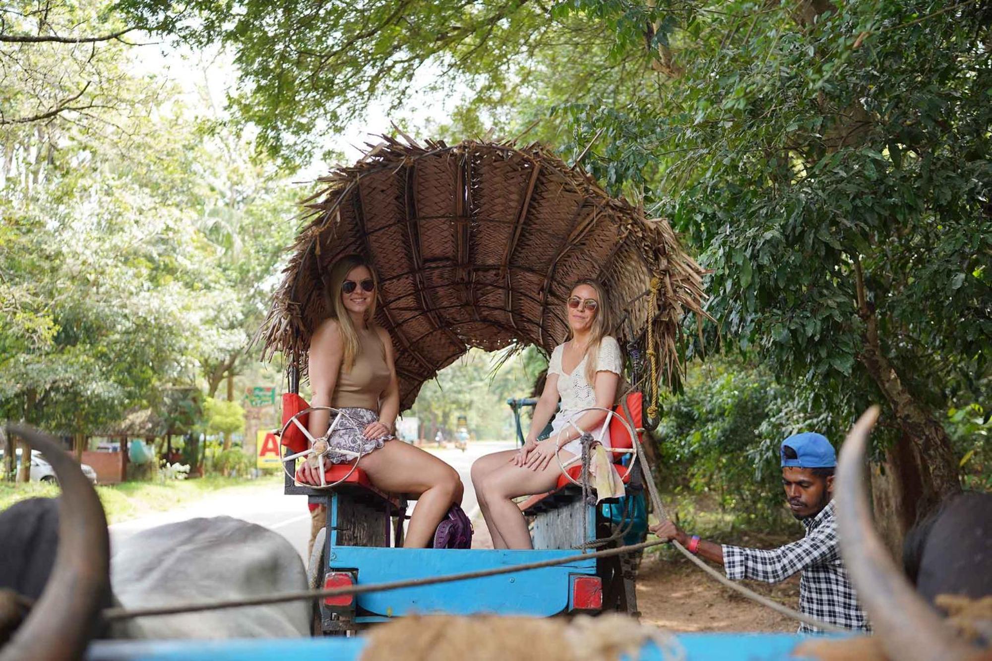 Sigiriya Kingdom Resort Dambulla Εξωτερικό φωτογραφία