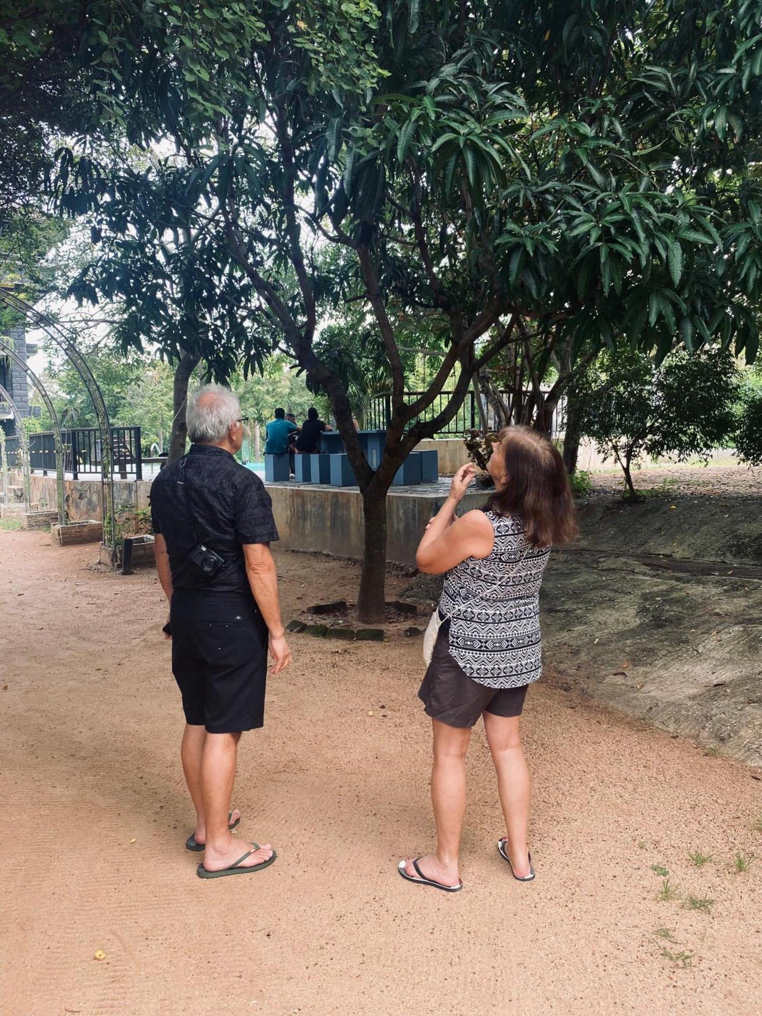 Sigiriya Kingdom Resort Dambulla Εξωτερικό φωτογραφία