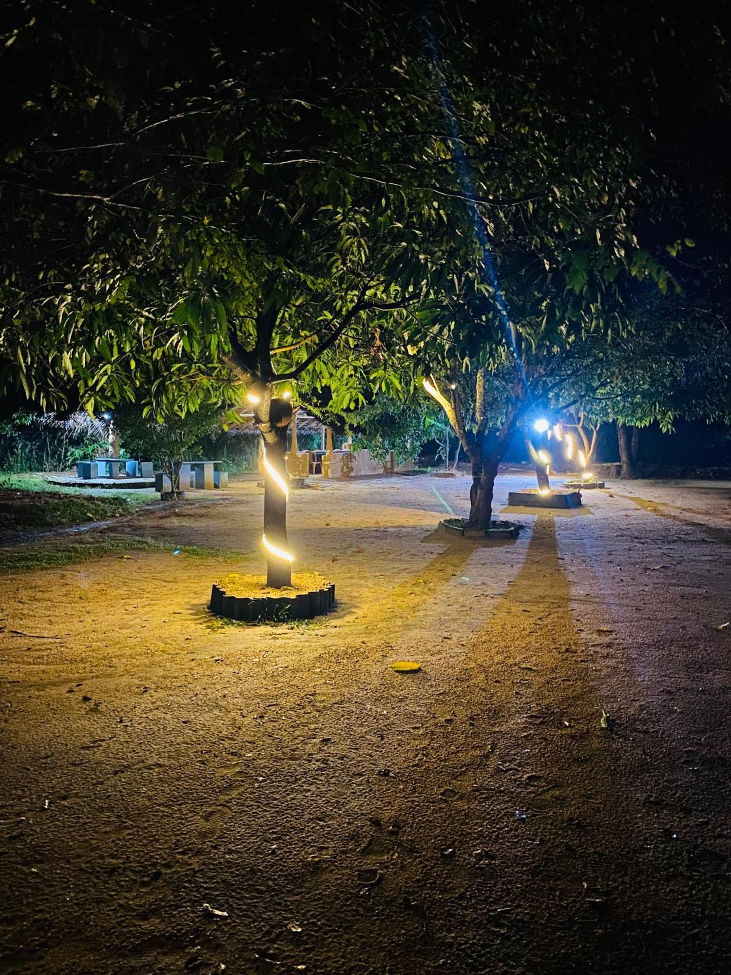 Sigiriya Kingdom Resort Dambulla Εξωτερικό φωτογραφία