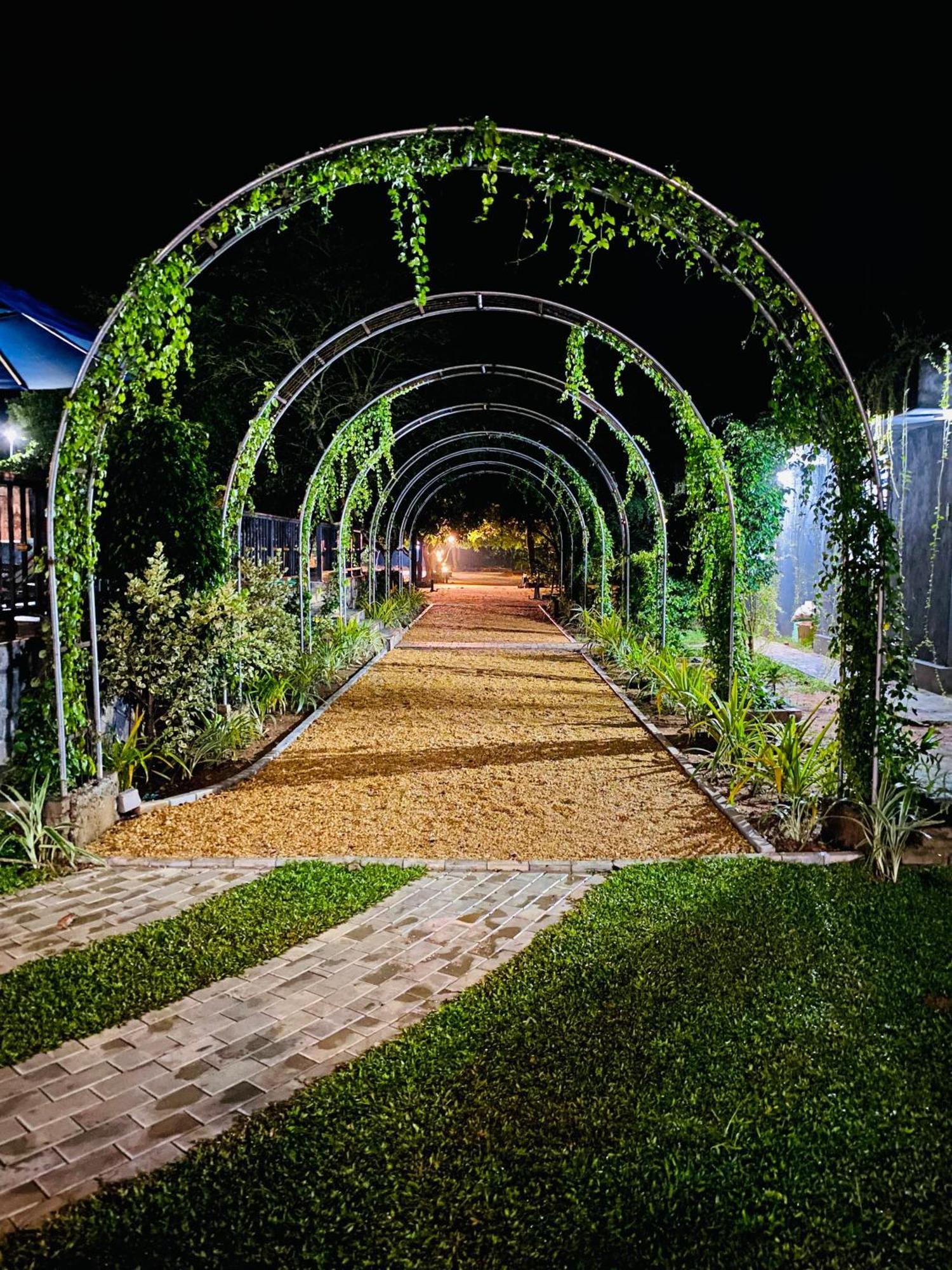 Sigiriya Kingdom Resort Dambulla Εξωτερικό φωτογραφία